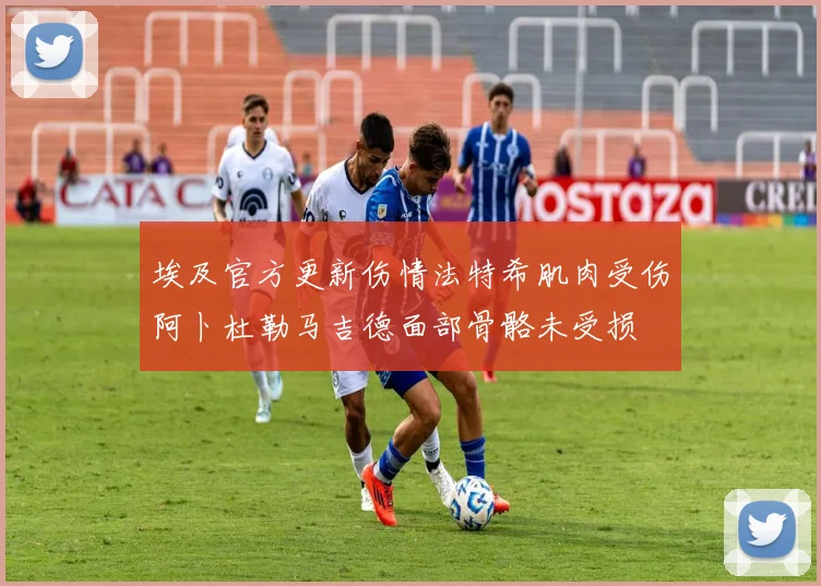 埃及官方更新伤情法特希肌肉受伤阿卜杜勒马吉德面部骨骼未受损