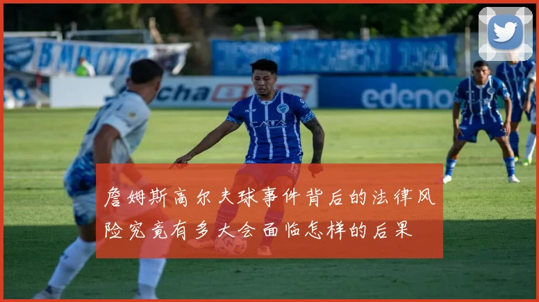 詹姆斯高尔夫球事件背后的法律风险究竟有多大会面临怎样的后果